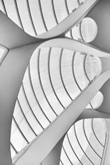 Study of Lines and Curves Study of Lines and Curves
