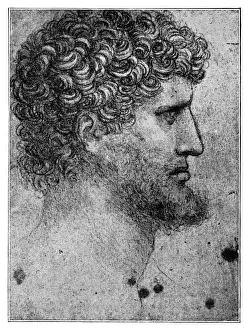 Study sketch of a man by Leonardo Da Vinci Study sketch of a man by Leonardo Da Vinci
