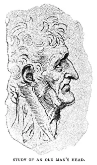 Study sketch of an old man by Leonardo Da Vinci Study sketch of an old man by Leonardo Da Vinci