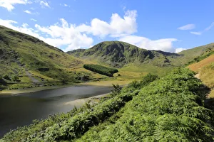 Summer view of Harter fell, Mardale valley, Lake District National Park, Cumbria County Summer view of Harter fell, Mardale valley, Lake District National Park, Cumbria County