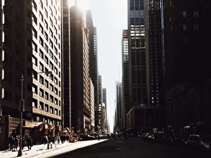 Sun shining through the Fifth Avenue, Manhattan, New York City Sun shining through the Fifth Avenue, Manhattan, New York City