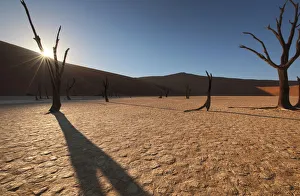 Sunrise with sun flare over the dead Acacia trees of Deadvlei, Namib-Naukluft National Park, Namibia, Africa Sunrise with sun flare over the dead Acacia trees of Deadvlei, Namib-Naukluft National Park, Namibia, Africa