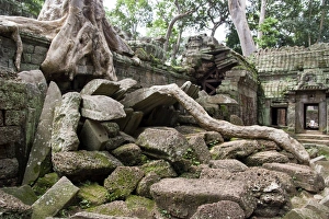 Ta Prohm temple wall overgrown with trees Ta Prohm temple wall overgrown with trees