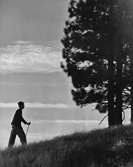 Full Length Black And White Photos Prints: Taking A Walk