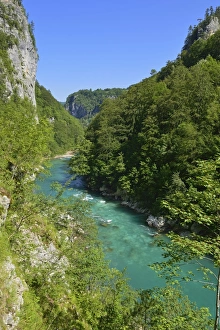 Tara river and canyon, Durmitor National Park, Unesco World Heritage Site, Crna Gora Tara river and canyon, Durmitor National Park, Unesco World Heritage Site, Crna Gora