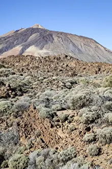 El Teide National Park Prints: Teide volcano