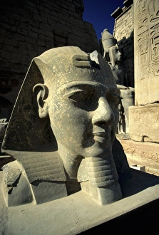 Temple of Luxor, Ramesses II Statue, Luxor, Egypt Temple of Luxor, Ramesses II Statue, Luxor, Egypt