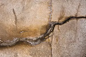 Images Dated 25th February 2012: Plastered Wall Print with Crack
