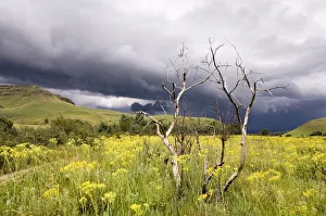 A Thunderstorm Brewing in the Drakensberg Mountains A Thunderstorm Brewing in the Drakensberg Mountains
