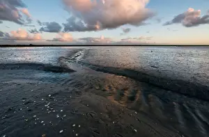 Netherlands Photography Prints: Tidal stream in muddy flats of the Waddenzee