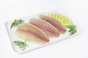 Tilapia fillets on a plate with lemon and dill Tilapia fillets on a plate with lemon and dill