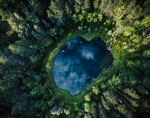 Top-down aerial view of a small pond in the middle of a forest Top-down aerial view of a small pond in the middle of a forest
