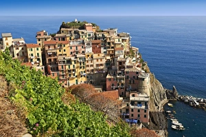 Townscape of Manarola, Cinque Terre, Liguria, Italy Townscape of Manarola, Cinque Terre, Liguria, Italy
