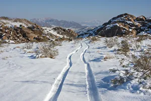 Tracks in snow, High Desert, California, USA Tracks in snow, High Desert, California, USA