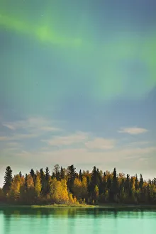 tree, autumn, fall color, sky, landscape, aurora borealis, lakeshore, forest, glowing tree, autumn, fall color, sky, landscape, aurora borealis, lakeshore, forest, glowing