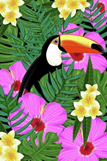 Magical world illustration/tropical patterns/tropical toucan Magical world illustration/tropical patterns/tropical toucan