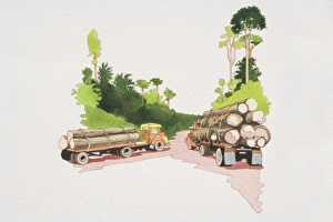 Two trucks loaded with stacked timber driving on forest path, rear view Two trucks loaded with stacked timber driving on forest path, rear view