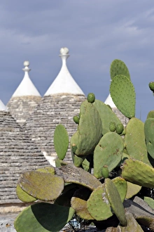 Trulli in the countryside near Alberobello Trulli in the countryside near Alberobello