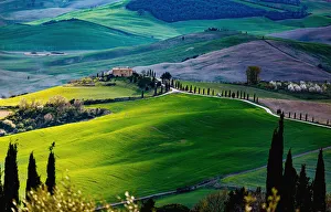 Tuscany, springtime in the afternoon. Path, green rolling hills and cypress trees Tuscany, springtime in the afternoon. Path, green rolling hills and cypress trees