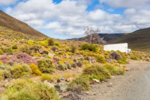 A typical Karoo scene, white building, colourful plants and hills A typical Karoo scene, white building, colourful plants and hills