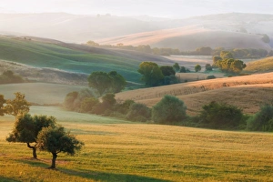 Typical Tuscan landscape near San Quirico dOrcia, Val dOrcia region, early morning mist Typical Tuscan landscape near San Quirico dOrcia, Val dOrcia region, early morning mist