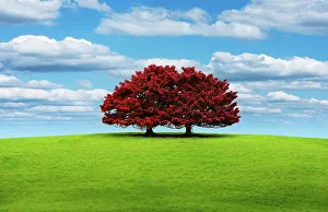 Unity in Red Unity in Red