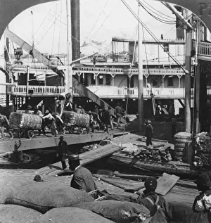 Framed Print : Cotton Unloading Print circa 1890 Framed Print : Cotton Unloading Print circa 1890