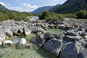 Upper Isar River, at the sediment barrier, nature reserve, Isar valley, Tolzer Land Upper Isar River, at the sediment barrier, nature reserve, Isar valley, Tolzer Land
