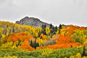 Vibrant Fall Colors, Crested Butte, Colorado, USA Vibrant Fall Colors, Crested Butte, Colorado, USA