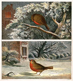 Two Victorian illustrations of robins in the snow Two Victorian illustrations of robins in the snow