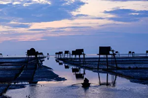 Vietnam landscape - Dong Chau - Thai Binh landscapes Vietnam landscape - Dong Chau - Thai Binh landscapes