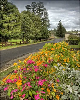 A view of colonial buildings in Quality row, Norfolk Island A view of colonial buildings in Quality row, Norfolk Island