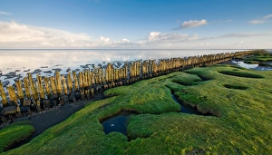 View over grasses, poles en tidal flats of the Wadden sea at Dutch Northcoast View over grasses, poles en tidal flats of the Wadden sea at Dutch Northcoast