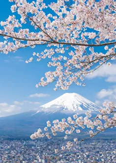 View of Mount Fuji with Cherry Blossom, Japan View of Mount Fuji with Cherry Blossom, Japan