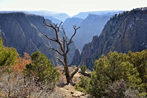 View from Tomichi Point, South Rim, to Gunnison Valley, Black Canyon of the Gunnison View from Tomichi Point, South Rim, to Gunnison Valley, Black Canyon of the Gunnison