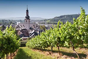 View through vineyard over Rudesheim am Rhein