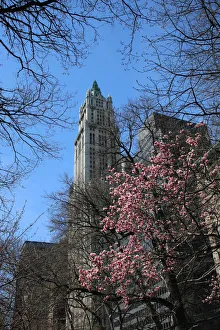 View from below of the Woolworth Building, Lower Manhattan, New York City View from below of the Woolworth Building, Lower Manhattan, New York City