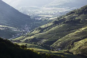 Vineyards in the Spitzer Graben valley and the municipality of Viessling, Wachau valley Vineyards in the Spitzer Graben valley and the municipality of Viessling, Wachau valley