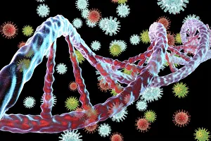 Viruses and DNA, illustration Viruses and DNA, illustration