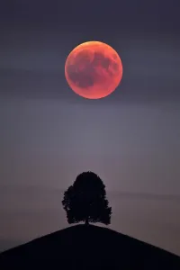 Prints of atmospheric, dramatic, dream, mystic, superstition, blood moon Visual Treasure Prints: Bloodmoon Lunar Eclipse Print