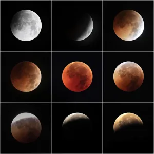 Prints of black, chinese, digital synthesis, images, light and effect, natural beauty, part of color images, partial lunar eclipse, pictures, space, the composition, the corona, the day Visual Treasure Prints: Total Lunar Eclipse Black Print: A Celestial Visual Treasure
