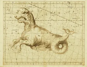 Cartography Artwork Prints: Taurus
