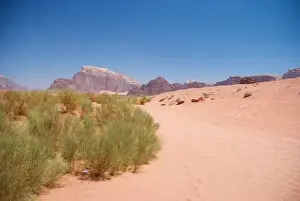Jordan Travel Destinations Prints: Wadi rum