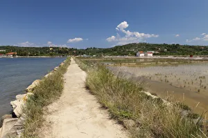 Walk through the salt works in the nature reserve of Strunjan, Adriatic Coast, Istria Walk through the salt works in the nature reserve of Strunjan, Adriatic Coast, Istria
