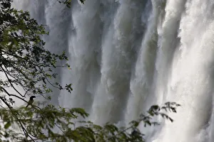 Wall of water, Victoria Falls, Livingstone, Zambia Wall of water, Victoria Falls, Livingstone, Zambia