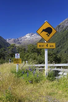 Warning sign, Kiwis next 4km at Greyneys Creek, looking towards Mt Warning sign, Kiwis next 4km at Greyneys Creek, looking towards Mt