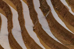 Water field in rice terrace paddies in North Vietnam Water field in rice terrace paddies in North Vietnam