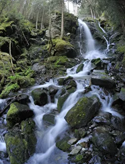 Waterfall, Themenweg Wildwasser white water learning path, Mariensee, Lower Austria Waterfall, Themenweg Wildwasser white water learning path, Mariensee, Lower Austria