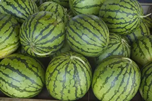 Watermelon Photography Prints: Watermelons