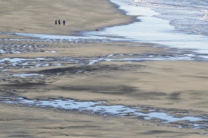White Cliffs Beach at low tide, three men walking in the distance, rocks in the surf White Cliffs Beach at low tide, three men walking in the distance, rocks in the surf